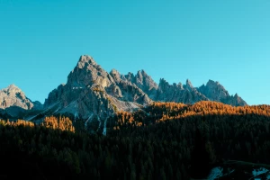 Poradnik o meblach